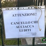 168494_187372017961169_5193185_n