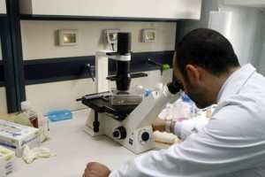 Polo di Terni: due milioni per 15 posti da ricercatore. Apertura sede di Medicina ancora rinviata