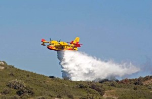 Vasto incendio a Labro: in fiamme zona boschiva tra Umbria e Lazio