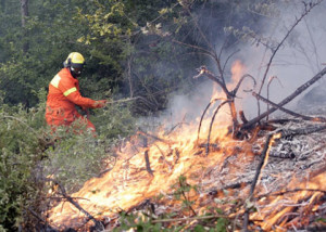 Due sospettati per l’incendio in Valnerina, residenti in zona. Sequestrate taniche di benzina