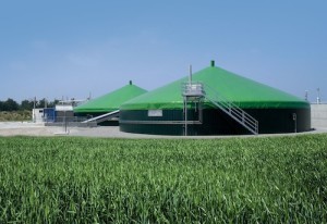 La centrale biogas di Montecchio non si farà: la società appaltatrice si ritira dal progetto