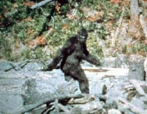 Colorado: si traveste da BigFoot per scherzo ma viene travolto e ucciso da due auto