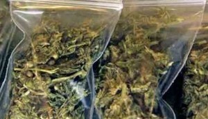 Marijuana in auto, nel portafoglio e nella camera da letto: ragazzo ternano denunciato per spaccio