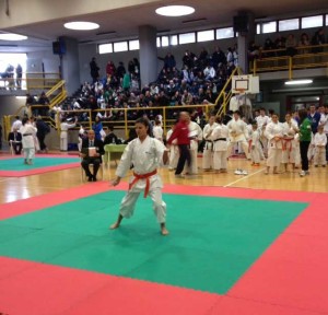 Successo per il primo trofeo di karate ”Città di Acquasparta”: 450 atleti e oltre mille spettatori. Foto