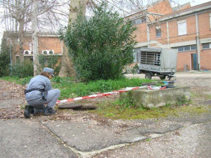 Forestale sequestra pozzetto acque reflue del mattatoio di Terni: denunciato amministratore società