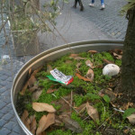 fioriere piazza San Francesco Terni (5)