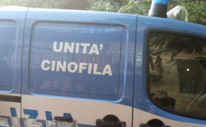 Terni, controlli antidroga nelle scuole: i cani della polizia Hyper e Alec in quattro istituti superiori
