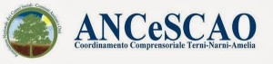 Terni, ANCeSCAO critica il Comune: ”Decisioni senza nostro coinvolgimento”