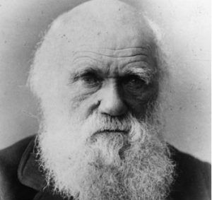 Darwin Day Terni: pensiero scientifico per mettere alla porta ciarlatani e sfruttatori
