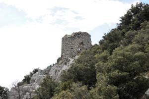 Italia Nostra: ”Terni come Pompei, torri medievali si sbriciolano”. Un progetto per salvarle, foto