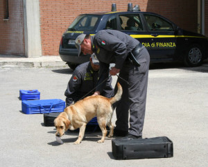 Terni, controlli antidroga nei pressi dei locali notturni: 100 grammi sequestrati e 5 segnalazioni