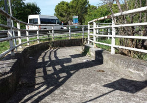 Terni, sottopassaggio a Borgo Rivo nel totale degrado: siringhe usate e un ratto morto