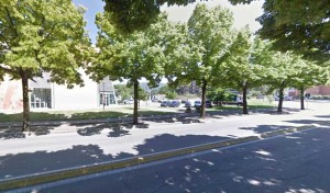 Terni, a Cospea c’è ”Verdestate 2014” organizzata dal Centro Sociale Ferriera