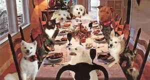 Enpa Terni, cena di beneficenza in occasione della ”giornata degli animali 2014”