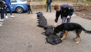 Terni, controlli antidroga nelle scuole con cane Yassou: trovato hashish