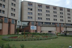 Sta bene la 18enne sottoposta a urgente trapianto di fegato