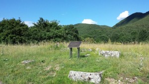Terni, Comune replica su Carsulae: ”La manutenzione spetta alla Sovrintendenza”