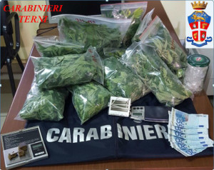 Amelia, coltiva marijuana sul balcone di casa: 29enne amerino arrestato
