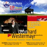 overlay_araba_fenice (1)