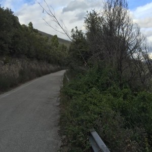 La Castagna-Cecalocco-Battiferro abbandonate (11)