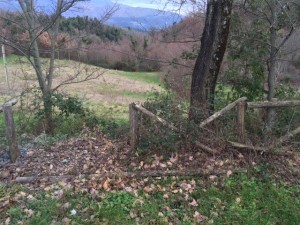 La Castagna-Cecalocco-Battiferro abbandonate (3)