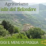 Valle del Belvedere banner