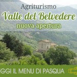 Valle del Belvedere banner 2