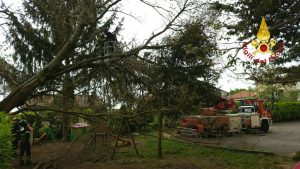 Terni, albero cade all’interno dell’area giochi di scuola materna
