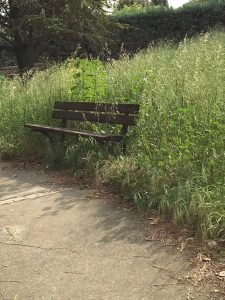 Terni, giardini di San Carlo completamente abbandonati, erba alta e rifiuti